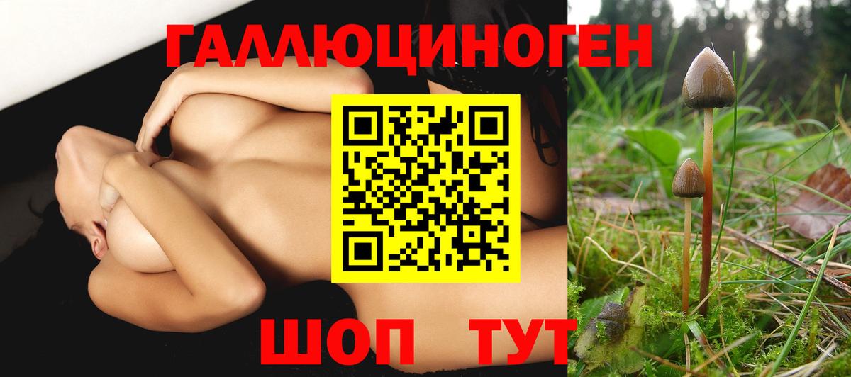 Галлюциногенные грибы GOLDEN TEACHER Свободный